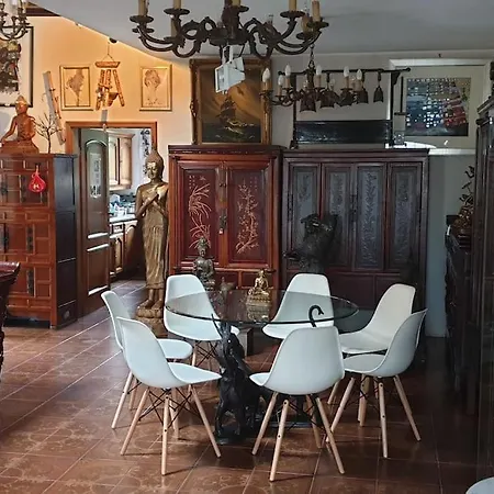 Asian Garden - Affittacamere 4*