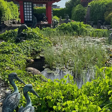 Asian Garden - 4* Ломар