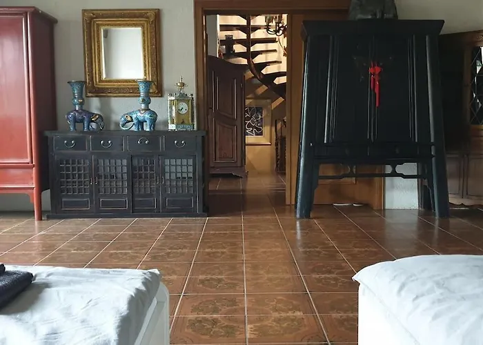 Asian Garden - 4* Lohmar