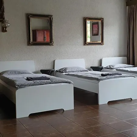 Asian Garden - Guest house *